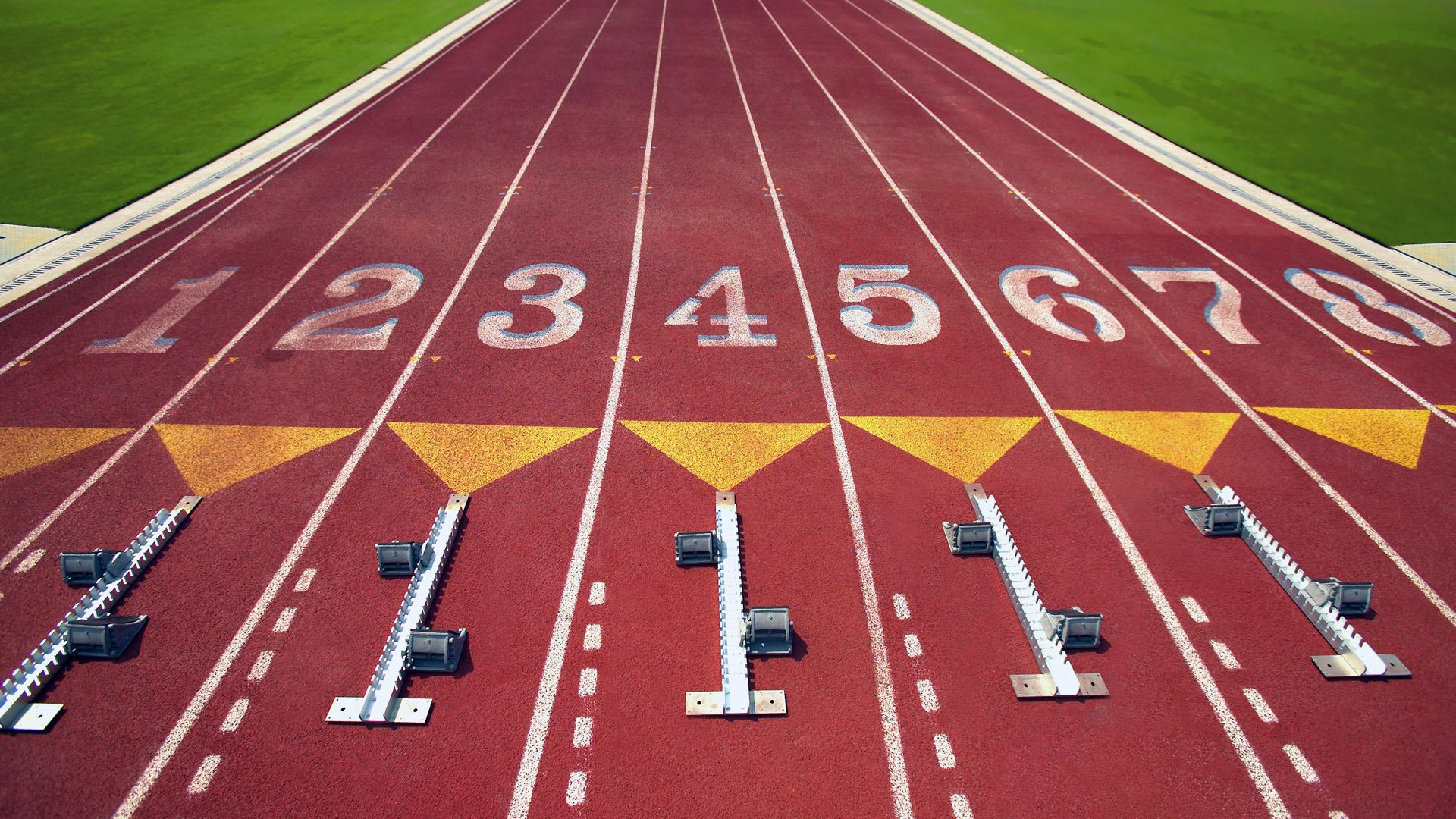 闪电突袭,郁金香绽放,荷兰完胜芬兰,穆西亚拉闪耀2026世界杯出线战