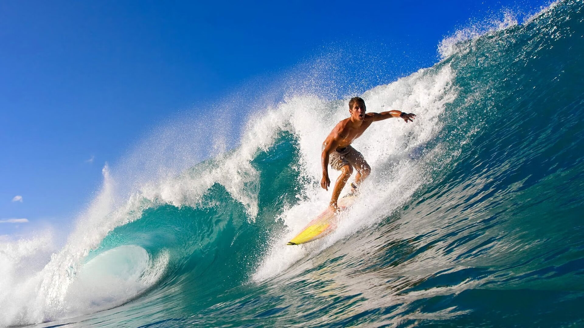 控球为王，德容引领荷兰 midfield 风暴，韩国防线在2026世界杯D组首战告急